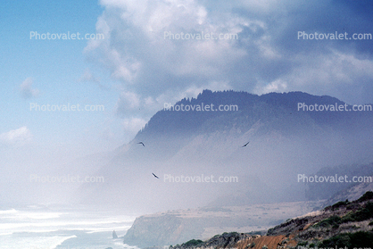 Pacific Ocean, Beach, Waves, Rocks, Cliffs, Point Bonita, Marin County