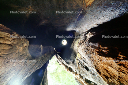 looking-up inside a tree, Hole, burn scar