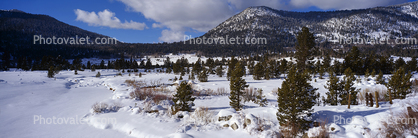 Mountains, Snow, Ice, Cold, Icy, Winter, Woodlands, El Dorado National Forest, Amador County, Panorama