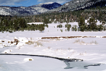 Sierra-Nevada Mountains, Ice, Cold, Frozen, Icy, Winter, Woodlands, El Dorado National Forest, Amador County