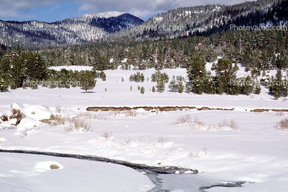 River, Sierra-Nevada Mountains, Ice, Cold, Frozen, Icy, Winter, Woodlands, El Dorado National Forest, Amador County
