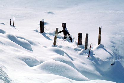 snow, fence, Ice, Cold, Frozen, Icy, Winter, El Dorado National Forest, Amador County