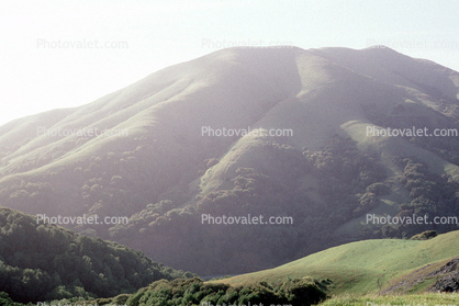 Hill, mountain, Nicasio, Marin County