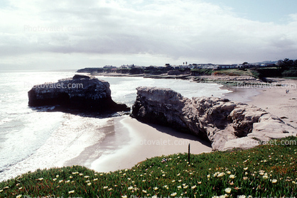 Santa Cruz County Coastline, shoreline, coastal, beach, ocean, pickleweed