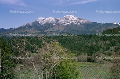 Pope Valley, Saint Helena, Snow, Mountain, Sonoma County