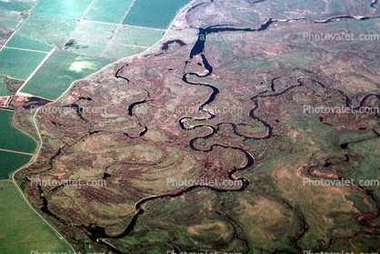 River Meander Arial, Fractal Patterns