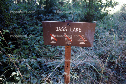 Bass Lake, water