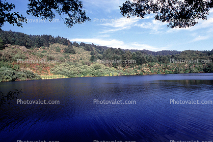 Bass Lake, Hills, woodland, water, thick vegetation