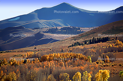 Mountain, Hills, Forest, Woodlands, Aspen Trees, a few kilometers north of Mono Lake, autumn