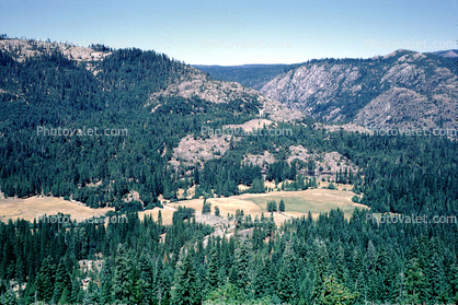 Forest, mountains, trees, along Lake Tahoe