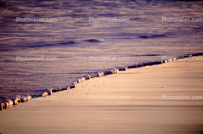 The end of a waves life, Stinson Beach, Marin County, Pacific Ocean, Coastline, Coast, Wet, Liquid, Water