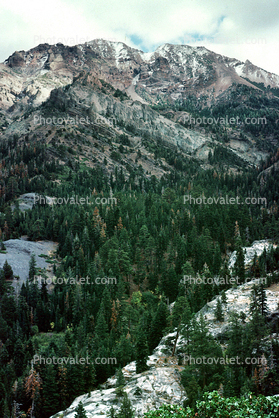 Sierra-Nevada Mountains