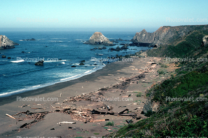 Driftwood, Beach, Sand, Sandy, Sonoma County, Pacific Ocean, Coastline, Coast