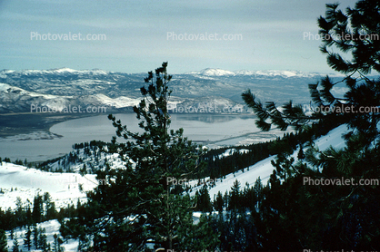 Palisades Tahoe, trees, Winter