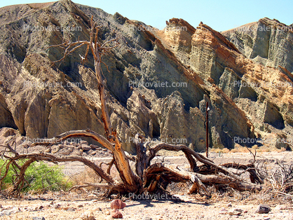 Barren Landscape, Empty, Bare Hills