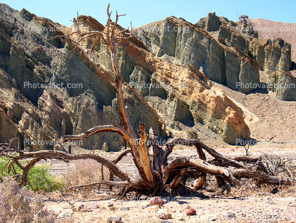 Barren Landscape, Empty, Bare Hills