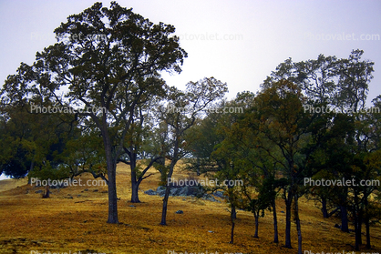 San Luis Obispo