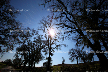 Paso Robles Wine Country, Adelaida Valley