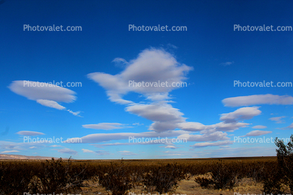 Palmdale Clouds, Desert Shrub