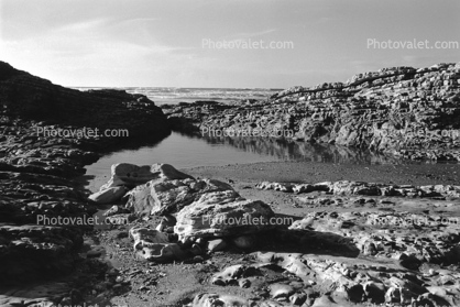 Tidepool, layered rock, shoreline, Montana-de-Oro State Park, Tidepools, salty tide pools