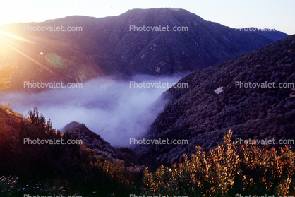 fog nested in the valley, hills, mountains