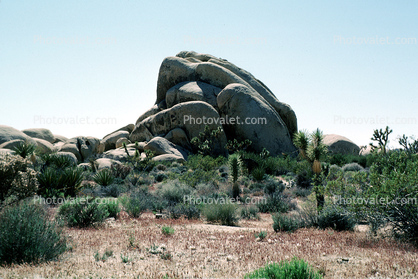 Rock Garden, Stone, Boulders, Joshua Tree National Monument