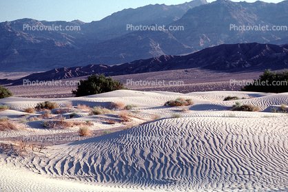 Sand Dunes, texture, sandy