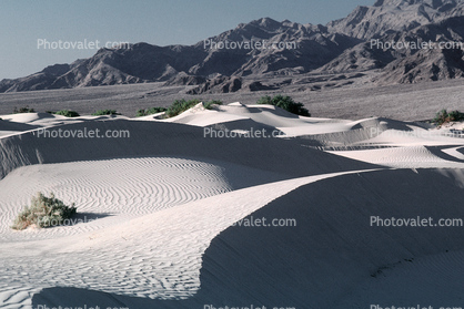 Sand Dunes, texture, sandy