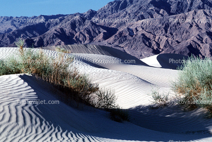 Sand Dunes, texture, sandy