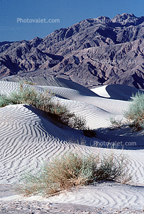 Sand Dunes, texture, sandy