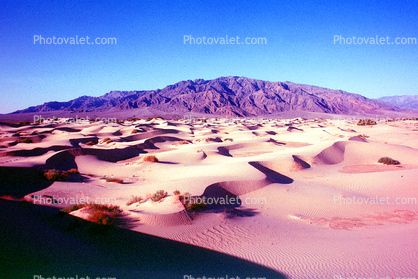 Sand Dunes, texture, sandy