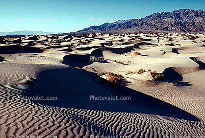 Sand Dunes, texture, sandy