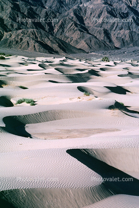 Sand Dunes, texture, sandy