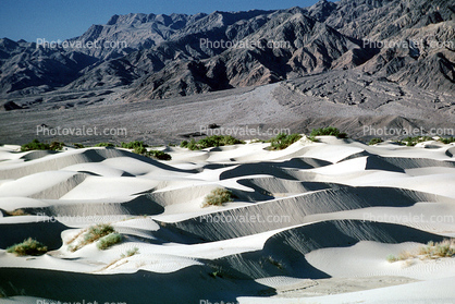 Sand Dunes, texture, sandy