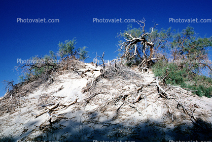 texture, sandy, Sand Dunes