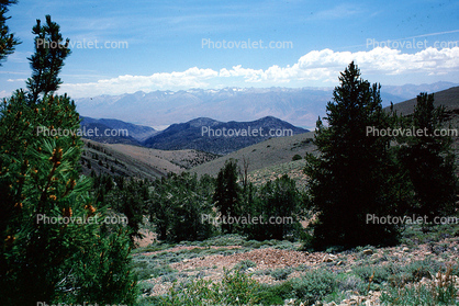 eastern Sierra-Nevada Mountains, Owens Valley