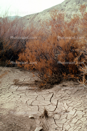 Dirt, soil, dried mud, cracked earth, Craquelure