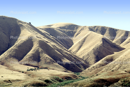 Golden Hills, west of Coalinga