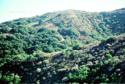 Catalina Island, Mountains, Hills