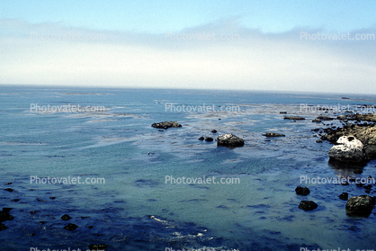 Fog, Pacific Ocean, Shoreline, Kelp, Cayucos