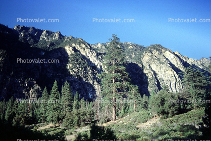Kings Canyon National Park, Trees, Mountain, Forest