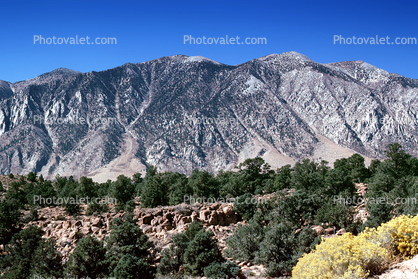 north of Bishop, Owens Valley