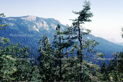 Sierra-Nevada Mountains