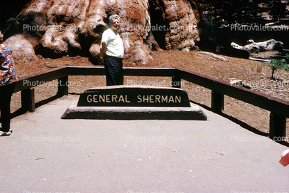 General Sherman Tree, Sign, Signage