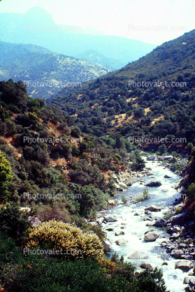 River, Kings Canyon National Park