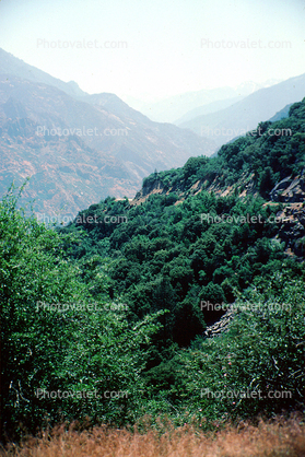 Kings Canyon National Park