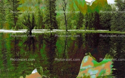 Merced River, Trees