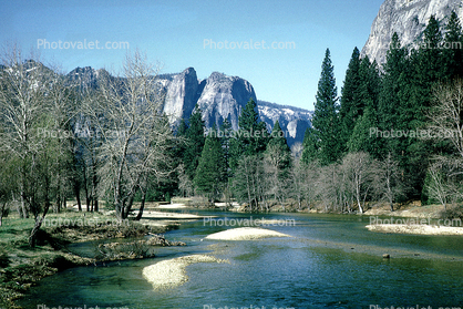 Merced River, Valley, forest, trees