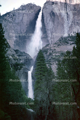 Yosemite Falls, Waterfall, forest, trees