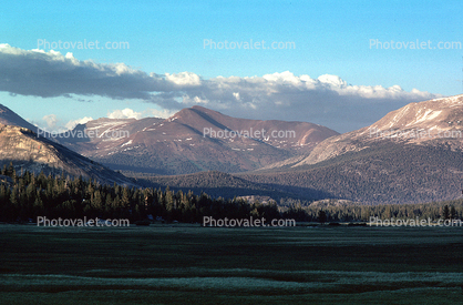 Mountain, Forest, Lake, water